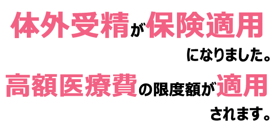 札幌の不妊治療 体外受精ならセントベビークリニック